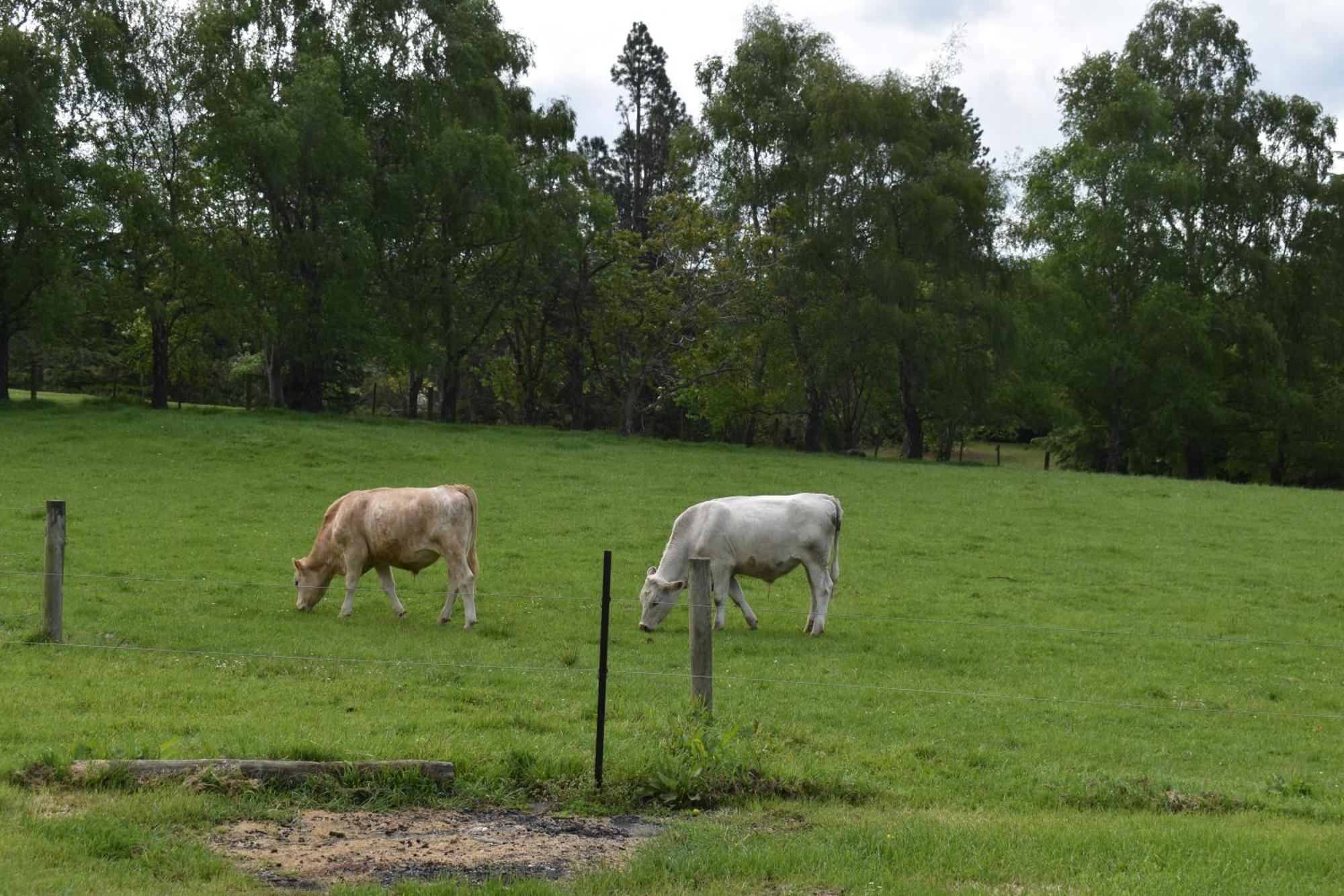 Bnb On Bakers Waimate ภายนอก รูปภาพ